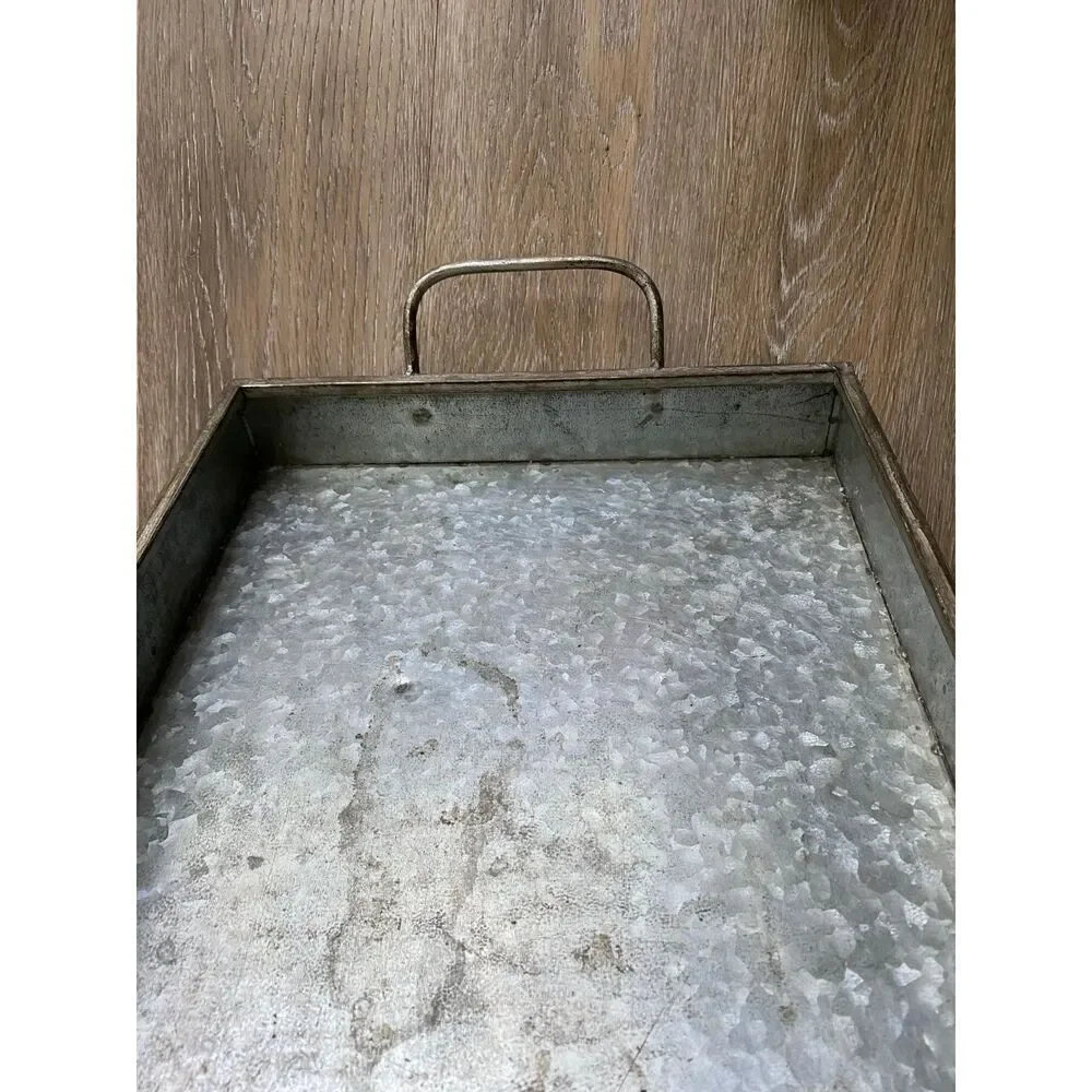 Pier 1 Magnolia 2015 Galvaniz Garden Tray with handles
